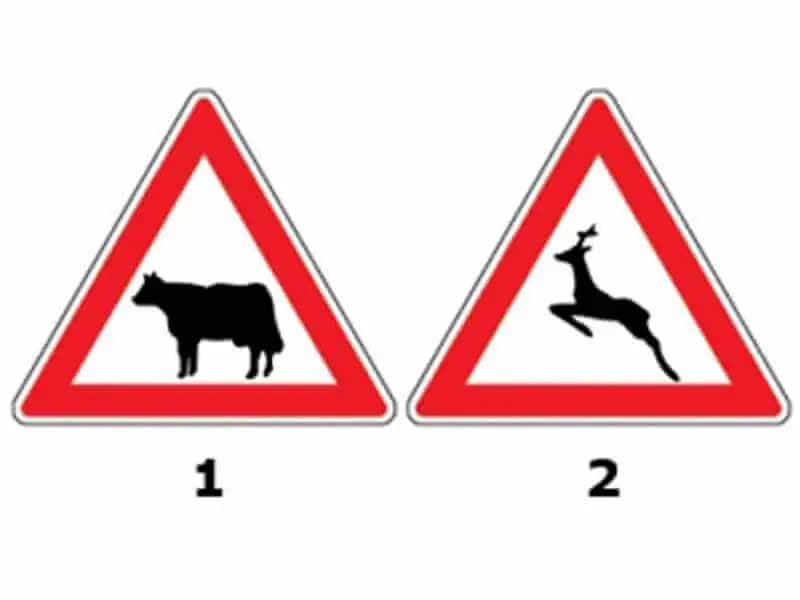 Indicatoarele alăturate te avertizează: