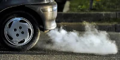 Conducerea ecologica Conducerea ecologica